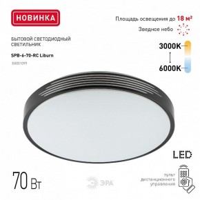 Накладной светильник Эра Классик SPB-6-70-RC Liburn в Кургане - kurgan.ok-mebel.com | фото 10