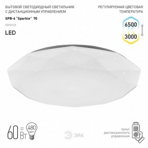 Накладной светильник Эра Классик SPB-6-70-RC Sparkle в Кургане - kurgan.ok-mebel.com | фото 2