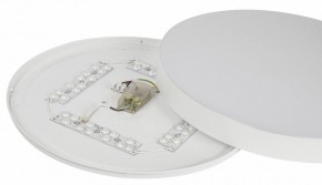Накладной светильник Эра Relict Relict 48 Pult SPB-6-60-RC WH в Кургане - kurgan.ok-mebel.com | фото 11