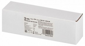 Накладной светильник Эра  TRM-S5-1-6W4K-BK в Кургане - kurgan.ok-mebel.com | фото 6