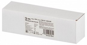 Накладной светильник Эра  TRM-S5-1-6W4K-WH в Кургане - kurgan.ok-mebel.com | фото 6