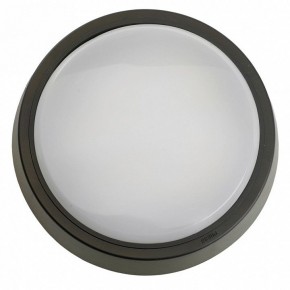 Накладной светильник Feron AL3020 51473 в Кургане - kurgan.ok-mebel.com | фото 4