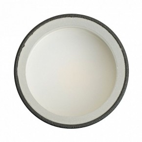 Накладной светильник Feron ML100 51369 в Кургане - kurgan.ok-mebel.com | фото 8