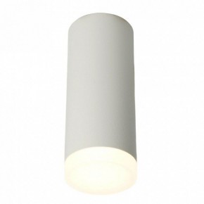 Накладной светильник Feron ML102 51389 в Кургане - kurgan.ok-mebel.com | фото 2