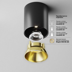 Накладной светильник Maytoni Alfa LED C064CL-12W4K-RD-B в Кургане - kurgan.ok-mebel.com | фото 3
