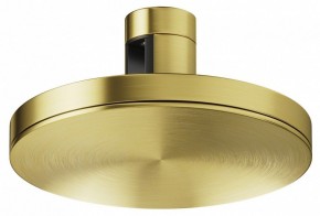 Накладной светильник Maytoni Plato TR152-1-7W4K-BS в Кургане - kurgan.ok-mebel.com | фото