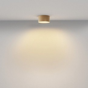 Накладной светильник Maytoni Zon C032CL-12W2.7K-RD-MG в Кургане - kurgan.ok-mebel.com | фото 4