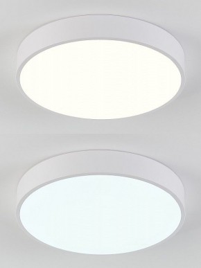 Накладной светильник Natali Kovaltseva  LED LAMPS 81111/5C в Кургане - kurgan.ok-mebel.com | фото 4