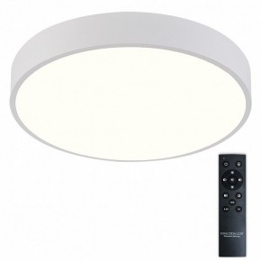 Накладной светильник Natali Kovaltseva  LED LAMPS 81112/5C в Кургане - kurgan.ok-mebel.com | фото 2