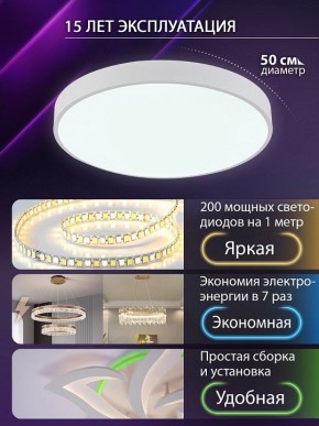 Накладной светильник Natali Kovaltseva  LED LAMPS 81112/5C в Кургане - kurgan.ok-mebel.com | фото 4