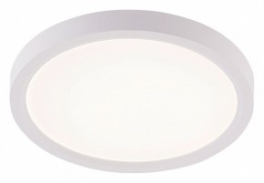 Накладной светильник Natali Kovaltseva PLAIN LED LAMPS 81113/1C в Кургане - kurgan.ok-mebel.com | фото