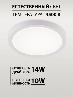 Накладной светильник Natali Kovaltseva PLAIN LED LAMPS 81113/1C в Кургане - kurgan.ok-mebel.com | фото 4