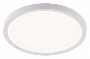 Накладной светильник Natali Kovaltseva PLAIN LED LAMPS 81113/2C в Кургане - kurgan.ok-mebel.com | фото