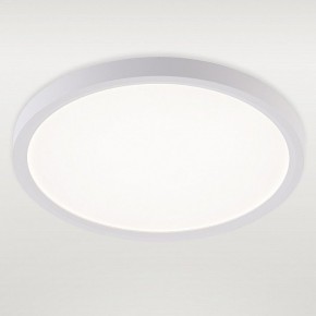 Накладной светильник Natali Kovaltseva PLAIN LED LAMPS 81113/2C в Кургане - kurgan.ok-mebel.com | фото 2