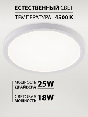 Накладной светильник Natali Kovaltseva PLAIN LED LAMPS 81113/2C в Кургане - kurgan.ok-mebel.com | фото 3