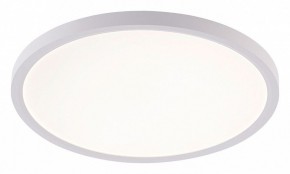Накладной светильник Natali Kovaltseva PLAIN LED LAMPS 81113/3C в Кургане - kurgan.ok-mebel.com | фото