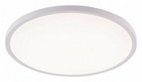 Накладной светильник Natali Kovaltseva PLAIN LED LAMPS 81113/4C в Кургане - kurgan.ok-mebel.com | фото