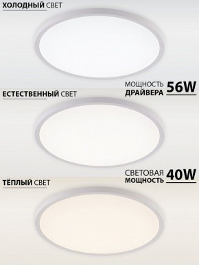 Накладной светильник Natali Kovaltseva PLAIN LED LAMPS 81113/5C в Кургане - kurgan.ok-mebel.com | фото 3