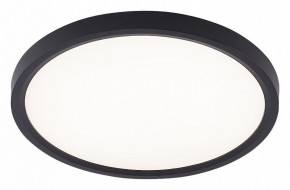 Накладной светильник Natali Kovaltseva PLAIN LED LAMPS 81114/2C в Кургане - kurgan.ok-mebel.com | фото