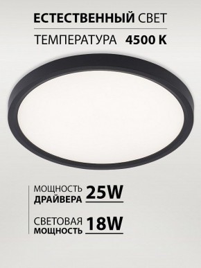 Накладной светильник Natali Kovaltseva PLAIN LED LAMPS 81114/2C в Кургане - kurgan.ok-mebel.com | фото 3