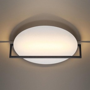 Накладной светильник Odeon Light Next 7015/20WL в Кургане - kurgan.ok-mebel.com | фото 2