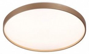 Накладной светильник Sonex Gaby 7783/EL в Кургане - kurgan.ok-mebel.com | фото 3