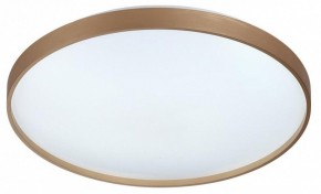 Накладной светильник Sonex Gaby 7783/EL в Кургане - kurgan.ok-mebel.com | фото 4