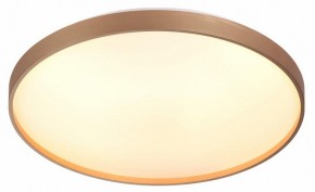 Накладной светильник Sonex Gaby 7783/EL в Кургане - kurgan.ok-mebel.com | фото 5