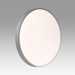 Накладной светильник Sonex Gaby 7784/DL в Кургане - kurgan.ok-mebel.com | фото 2