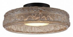 Накладной светильник ST-Luce ANTIKE SL6143.422.01 в Кургане - kurgan.ok-mebel.com | фото 3