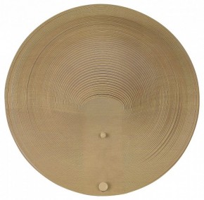 Накладной светильник ST-Luce Fossil SL6900.501.16 в Кургане - kurgan.ok-mebel.com | фото