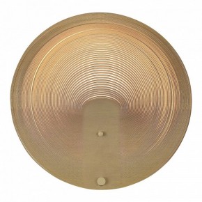 Накладной светильник ST-Luce Fossil SL6900.501.16 в Кургане - kurgan.ok-mebel.com | фото 2