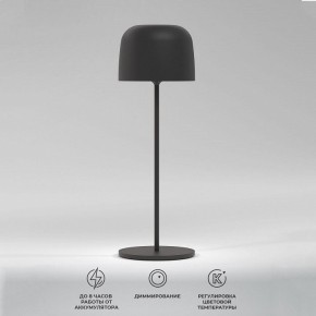 Настольная лампа декоративная Elektrostandard Bitty a069002 в Кургане - kurgan.ok-mebel.com | фото 2