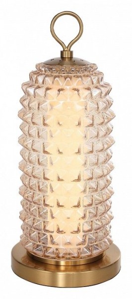 Настольная лампа декоративная ST-Luce SAGUARO SL6144.304.01 в Кургане - kurgan.ok-mebel.com | фото 2