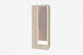 НИКА Н10з Шкаф для одежды в Кургане - kurgan.ok-mebel.com | фото 3