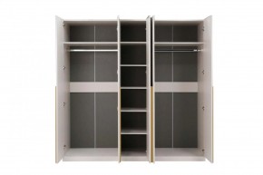 НИКОЛЬ 25 Шкаф 5-ти створчатый в Кургане - kurgan.ok-mebel.com | фото 3
