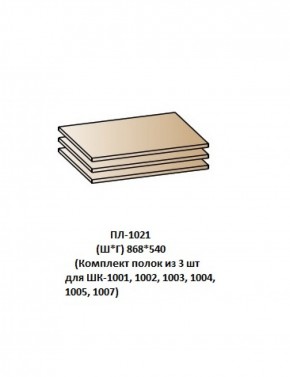 ПЛ-1021 (Комплект полок из 3 шт для ШК-1001, 1002, 1003, 1004, 1005, 1007) в Кургане - kurgan.ok-mebel.com | фото