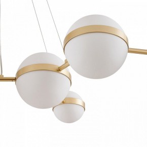 Подвесная люстра Favourite Asterismo 4448-8P в Кургане - kurgan.ok-mebel.com | фото 5