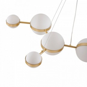 Подвесная люстра Favourite Asterismo 4448-8P в Кургане - kurgan.ok-mebel.com | фото 7