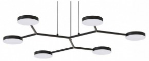 Подвесная люстра Favourite Vorago 4632-6P в Кургане - kurgan.ok-mebel.com | фото
