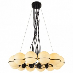 Подвесная люстра Lussole Seneca LSP-8177 в Кургане - kurgan.ok-mebel.com | фото
