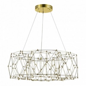 Подвесная люстра ST-Luce Gravetta SL6602.203.48 в Кургане - kurgan.ok-mebel.com | фото 3