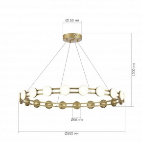 Подвесная люстра ST-Luce MONRO SL6610.203.20 в Кургане - kurgan.ok-mebel.com | фото 5