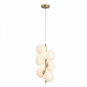 Подвесная люстра ST-Luce Sweven SL1519.303.06 в Кургане - kurgan.ok-mebel.com | фото 4