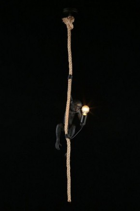 Подвесной светильник Aployt Magali APL.309.16.01 в Кургане - kurgan.ok-mebel.com | фото 3