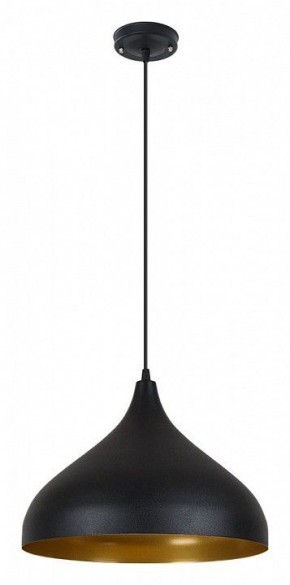 Подвесной светильник Arte Lamp Carmel A7076SP-1BK в Кургане - kurgan.ok-mebel.com | фото 2
