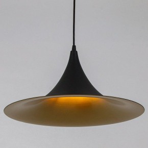 Подвесной светильник Arte Lamp Carmel A7080SP-1BK в Кургане - kurgan.ok-mebel.com | фото