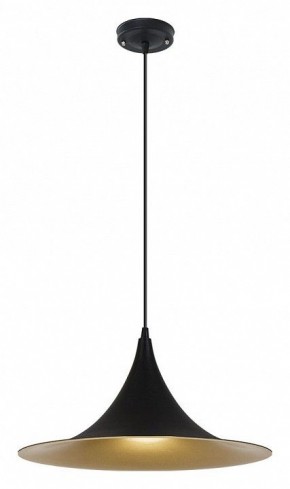Подвесной светильник Arte Lamp Carmel A7080SP-1BK в Кургане - kurgan.ok-mebel.com | фото 2