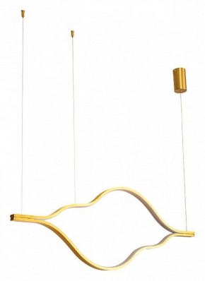 Подвесной светильник Arte Lamp Odyssey A2911SP-31GO в Кургане - kurgan.ok-mebel.com | фото 2