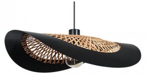 Подвесной светильник Arte Lamp Woodstock A7059SP-1BK в Кургане - kurgan.ok-mebel.com | фото